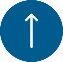 button-icon